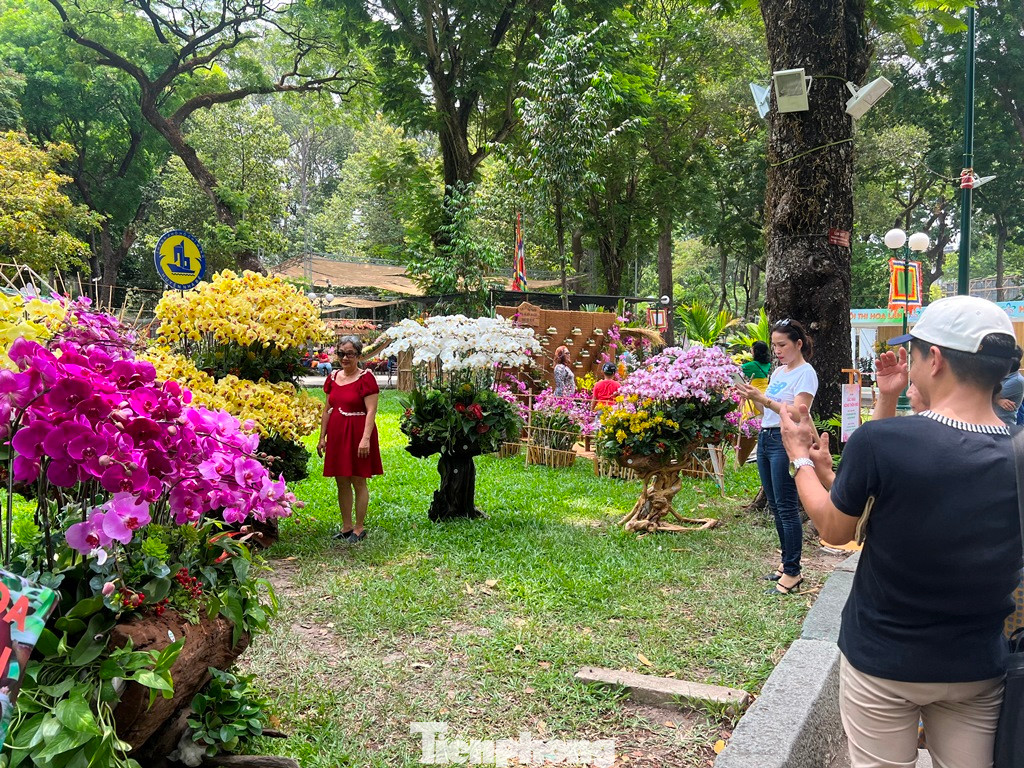 Các thành viên trong gia đình chụp ảnh cho nhau, ghi lại những khoảnh khắc bên những loại hoa lan quý hiếm.