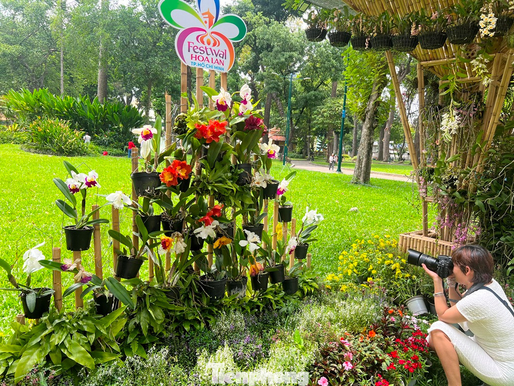 Giới săn ảnh thích thú khi "chộp" được những tấm ảnh ưng ý