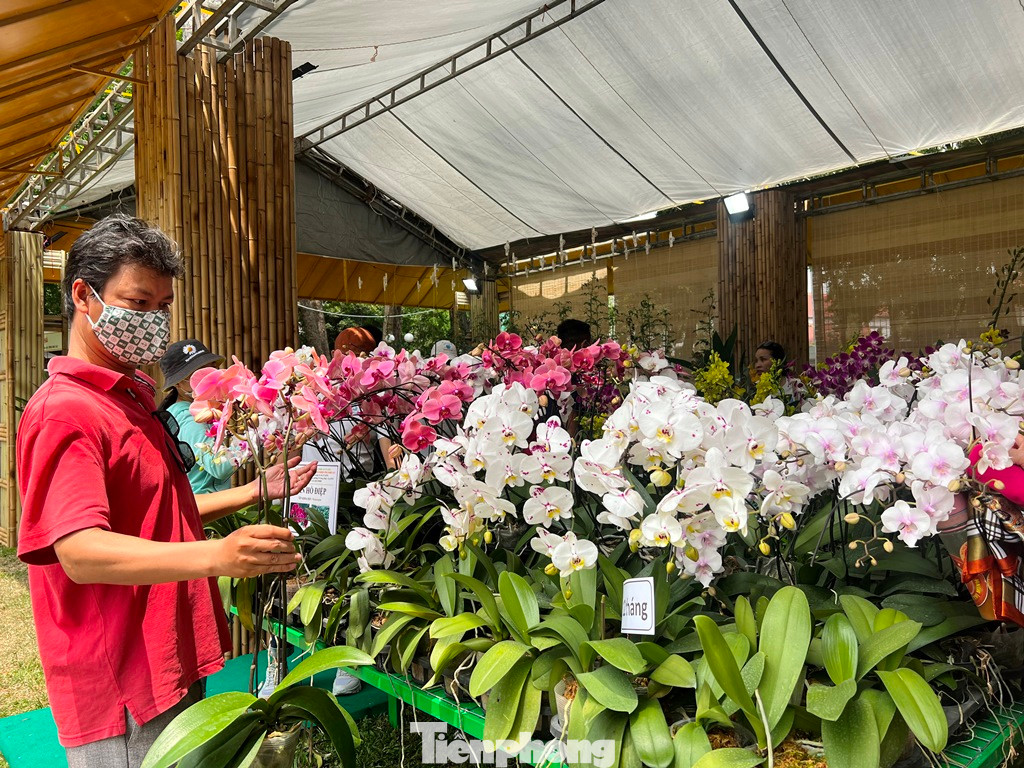 "Hoa rẻ lại đẹp nên tôi chọn mua vài chậu chưng trong nhà" - anh Bình (ngụ TPHCM) cho biết