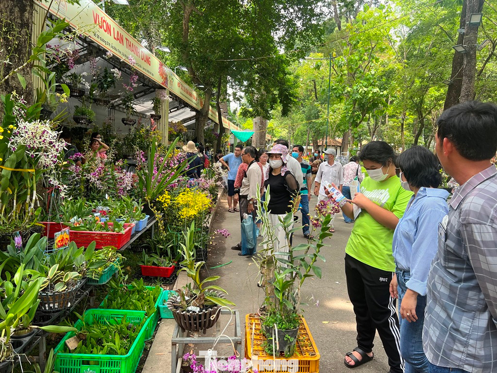 Khách yêu hoa thích thú khi chọn được những chậu lan ưng ý, giá rẻ bất ngờ