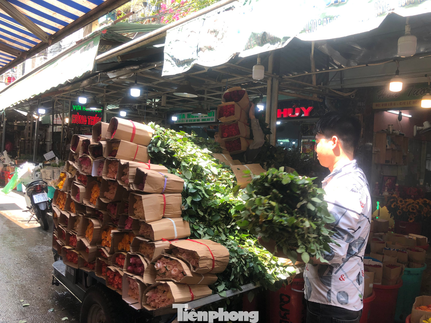 Chiều 13/2, hoa hồng Đà Lạt, Sapa... tiếp tục về chợ hoa ở TPHCM để phục vụ nhu cầu khách hàng trong ngày 14/2. Chiều 13/2, hoa hồng Đà Lạt, Sapa... tiếp tục về chợ hoa ở TPHCM để phục vụ nhu cầu khách hàng trong ngày 14/2.