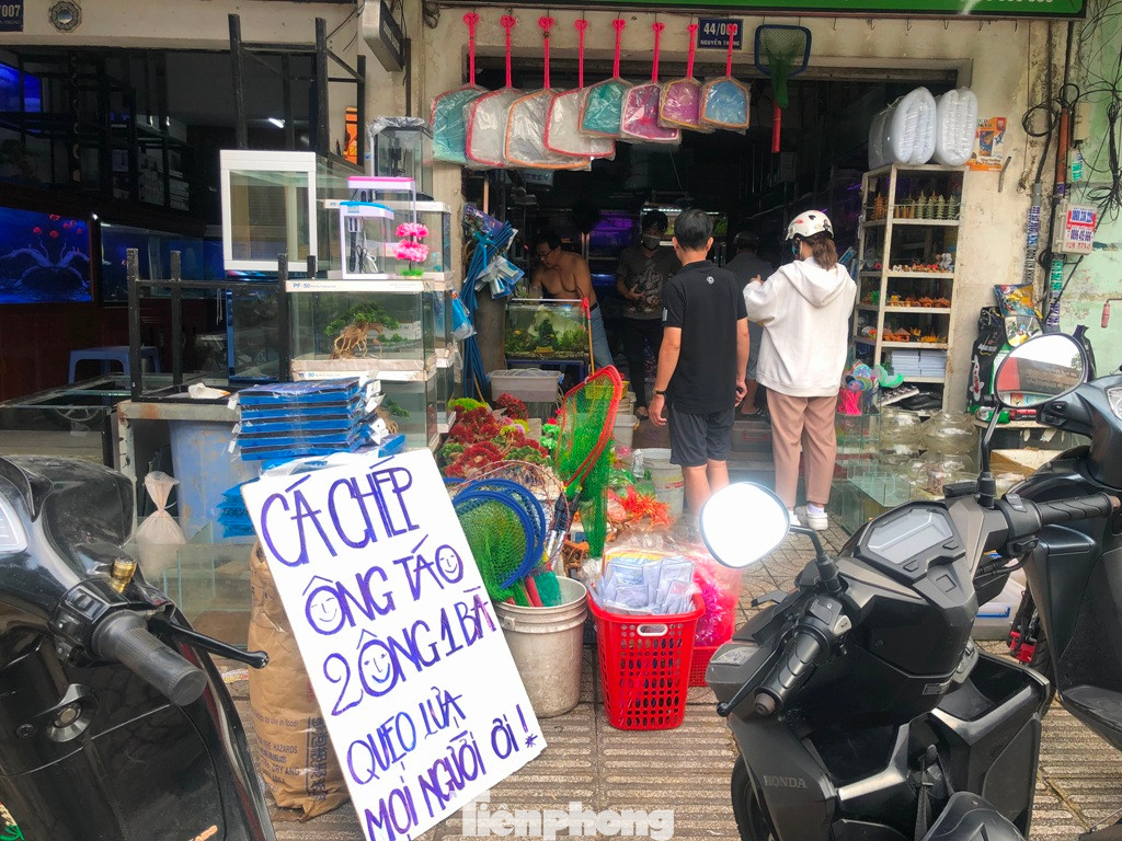 Các tiệm bán cá chép tấp nập khách từ buổi chiều tối ngày 22 tháng Chạp.