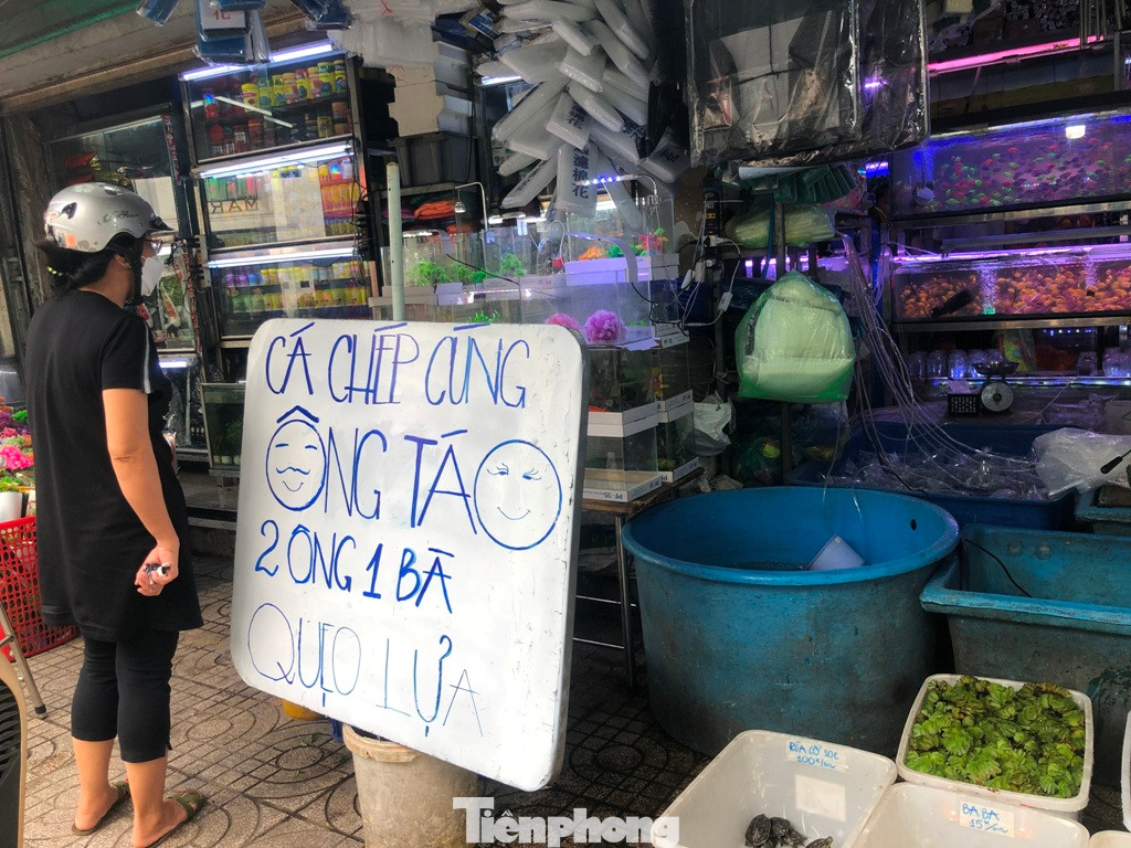 Chiều 13/1 (tức 22 tháng Chạp), trên đường Nguyễn Thông (quận 3, TPHCM), các điểm bán cá cảnh đã treo biển chào mời mua cá chép "2 ông 1 bà" để đưa ông Táo về trời. Theo đó, 3 con cá chép có giá 100.000 đồng được nhiều khách hàng chọn mua. Đây là cá chép cỡ nhỏ bằng 2 ngón tay, trong khi cá chép lớn hơn có giá 50.000 đồng/con.