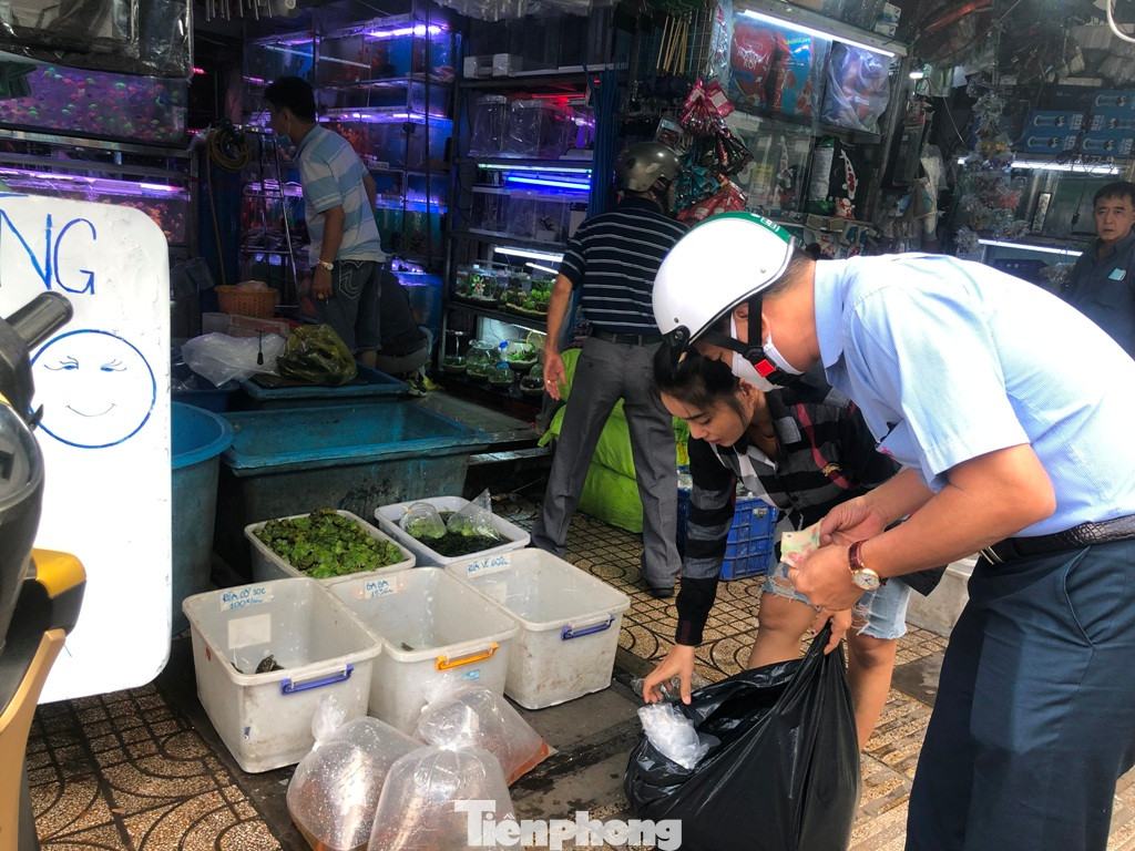 Nhiều tiệm còn chuẩn bị sẵn cá trong các bịch lớn được thổi oxy, mỗi bịch dao động từ 70.000-100.000 đồng, người dân thường mua để phóng sinh trong ngày này.