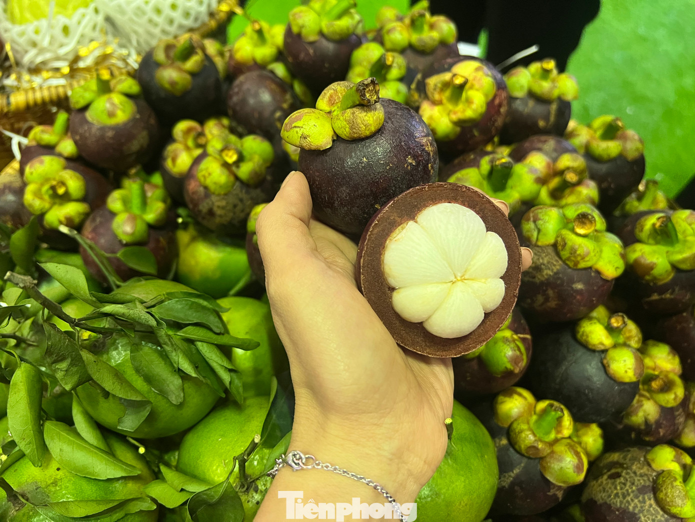 Trong khi đó, măng cụt trồng với kích cỡ đúng chuẩn để xuất khẩu, được bày bán tại một cửa hàng trái cây cao cấp tại quận 10 có giá tới 120.000 đồng/kg. Theo người bán, măng cụt xuất khẩu trồng theo tiêu chuẩn VietGap hoặc GlobalGap, 10 quả như 1, nông dân chăm sóc rất kỹ trước khi thu hoạch nên có giá cao hơn măng cụt thường.