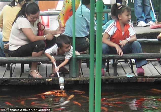 Các em bé vô cùng thích thú khi được tận tay cho cá bú bình