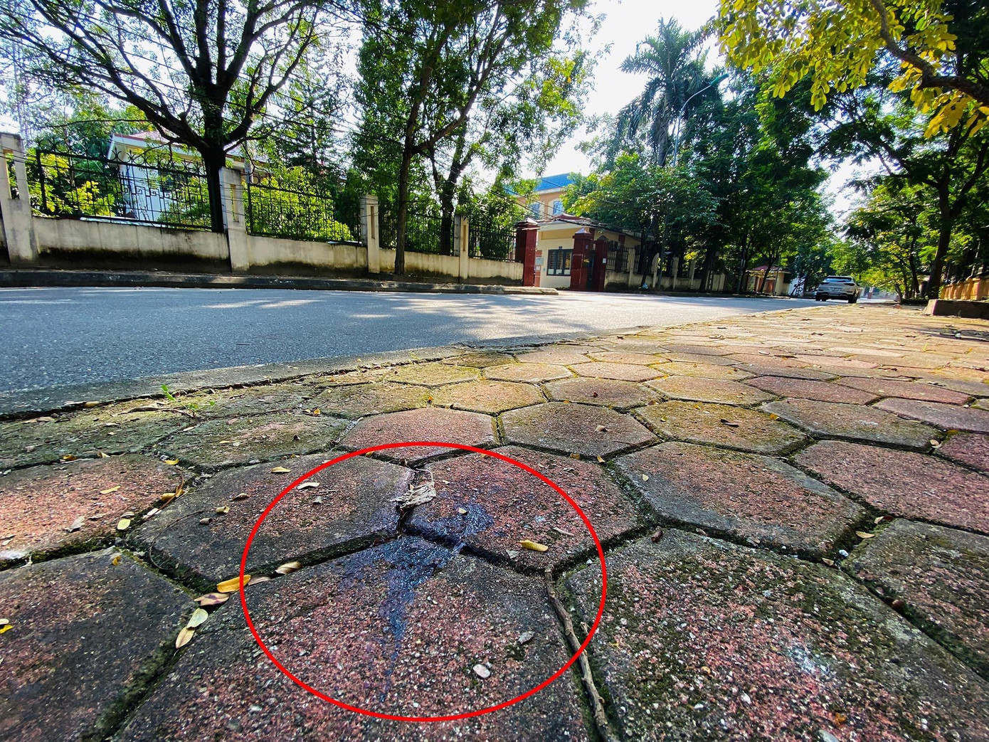 Hiện trường Ninh và Sơn đánh ông Tỵ.