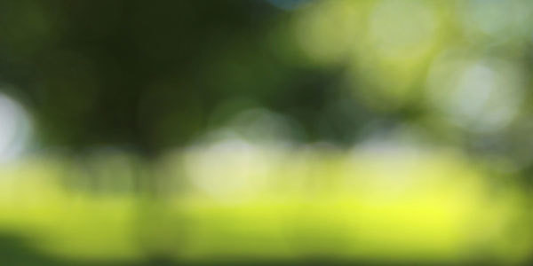 10 dấu hiệu báo động đái tháo đường ảnh 5