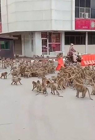 Ảnh: Daily Mail Ảnh: Daily Mail