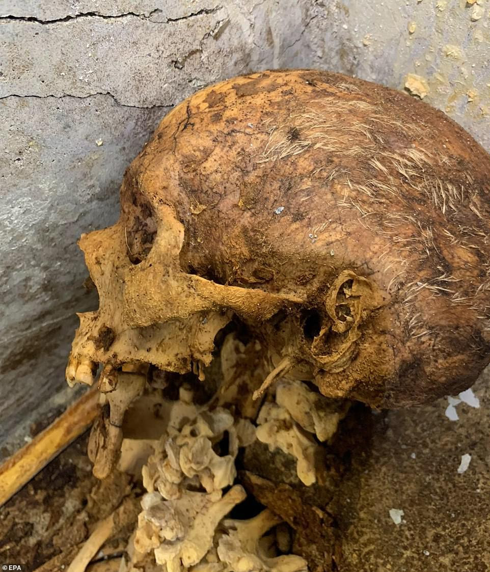 Mái tóc bạc cắt ngắn của người trong mộ vẫn còn khá nguyên vẹn