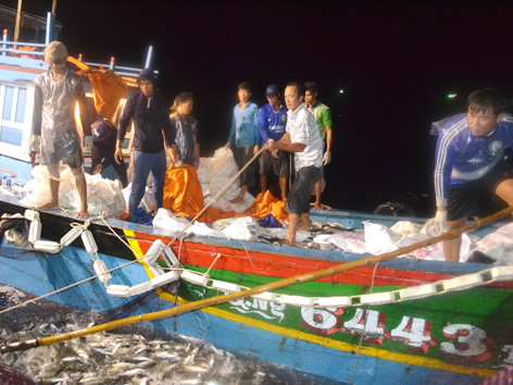 Mẻ cá 25 tấn của tàu anh Viên đánh bắt trong một đêm ở Hoàng Sa. Mẻ cá 25 tấn của tàu anh Viên đánh bắt trong một đêm ở Hoàng Sa