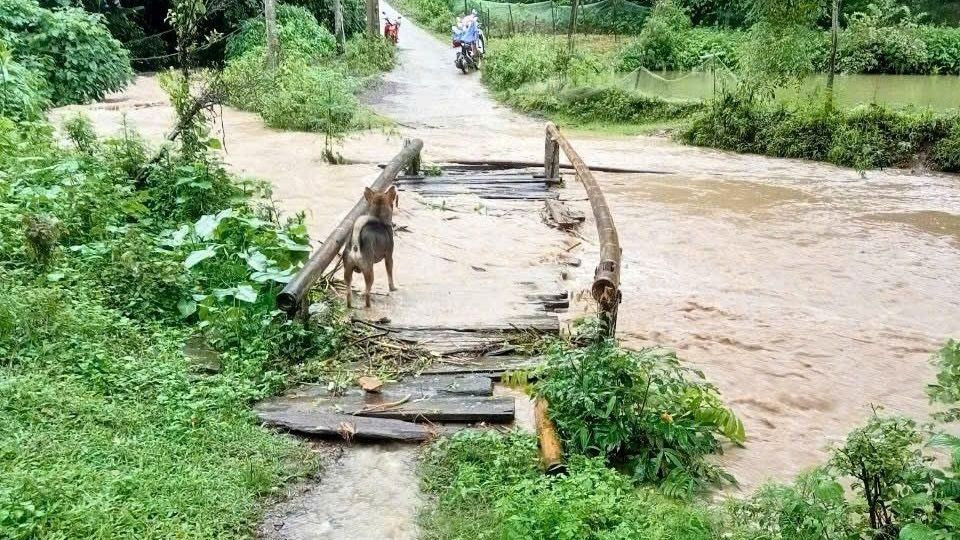 Khánh thành cầu thiện nguyện Nà Dài - Bình Anh: Nối yêu thương, mở đường làm ăn cho dân bản ảnh 3