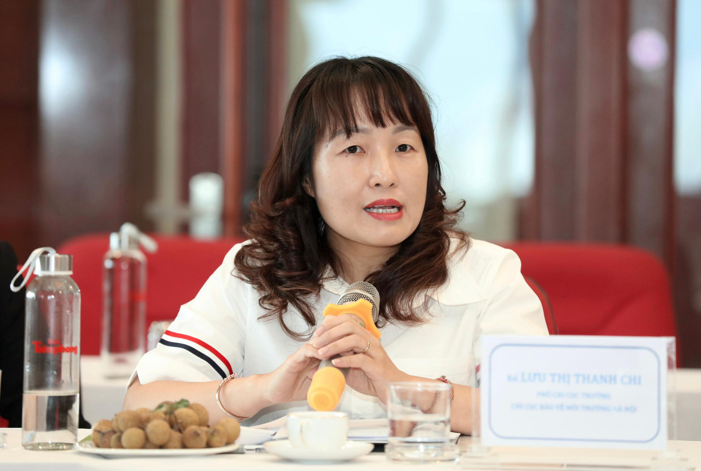 Bà Lưu Thị Thanh Chi, Phó Chi cục trưởng Chi cục Bảo vệ Môi trường Hà Nội - Ảnh: Như Ý Bà Lưu Thị Thanh Chi, Phó Chi cục trưởng Chi cục Bảo vệ Môi trường Hà Nội - Ảnh: Như Ý