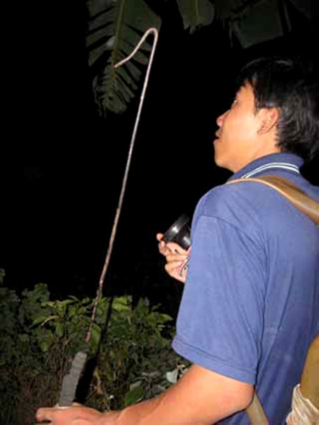 Những người thợ săn rắn đêm. Những người thợ săn rắn đêm