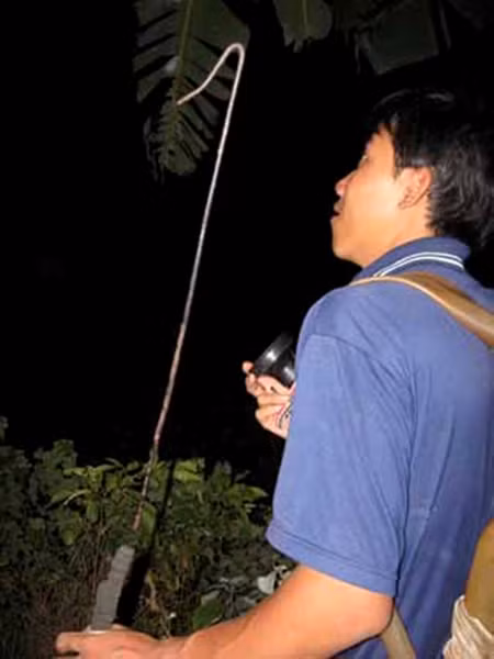 Những người thợ săn rắn đêm