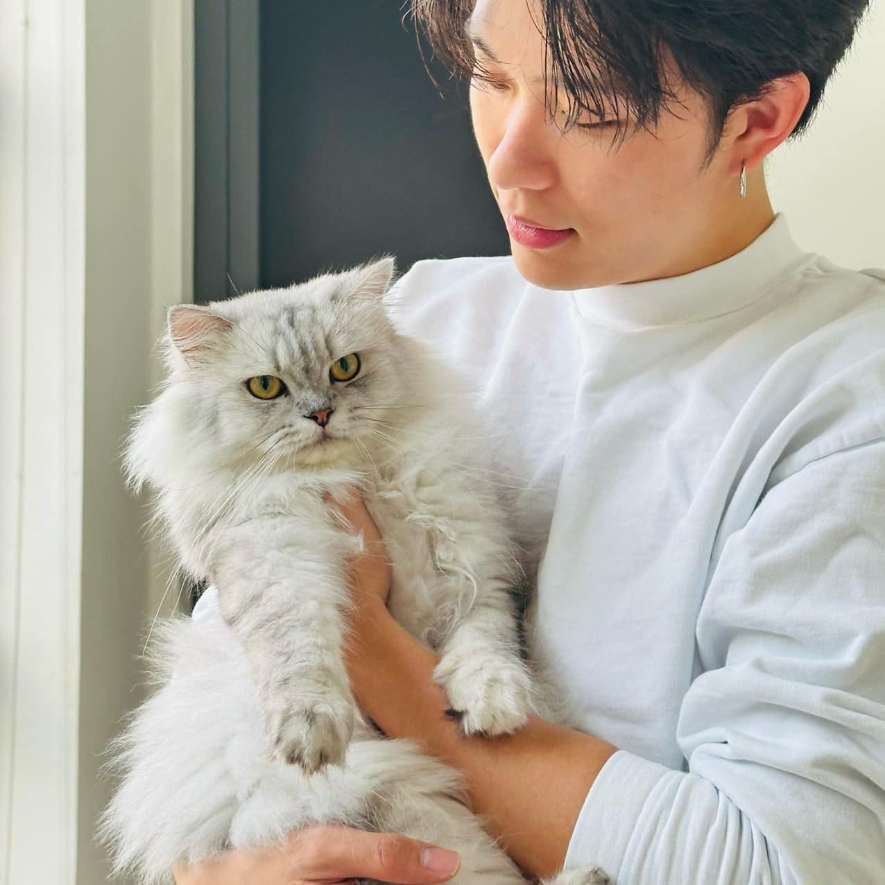 Hình ảnh chàng "Bống" chụp cùng bé mèo từng khiến fan "đổ gục" vì vẻ dịu dàng.
