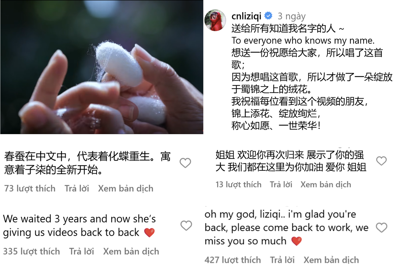 Người hâm mộ cho rằng Lý Tử Thất muốn truyền tải hình ảnh "tằm xuân" trong video gần nhất để nói về chính bản thân mình. Người hâm mộ cho rằng Lý Tử Thất muốn truyền tải hình ảnh "tằm xuân" trong video gần nhất để nói về chính bản thân mình.