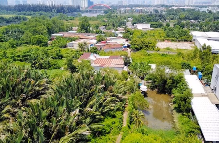 Ông Tất Thành Cang vắng mặt trong buổi tiếp xúc cử tri ảnh 3