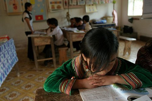 Ảnh: minh họa - Lê Anh Dũng