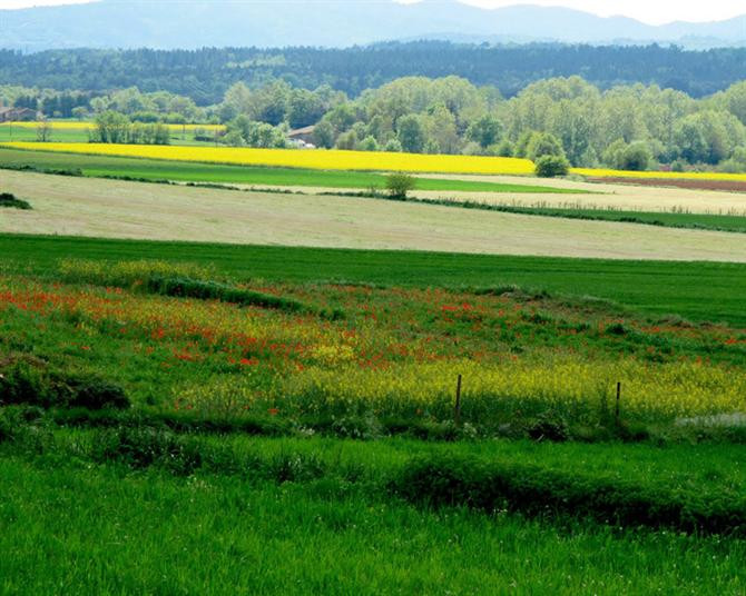 Cánh đồng rực rỡ sắc màu - điểm 