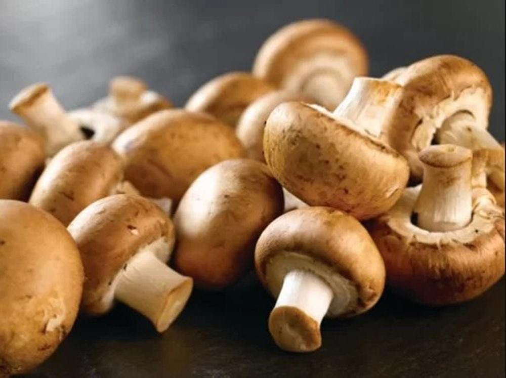 Nấm Agaricus Nấm Agaricus