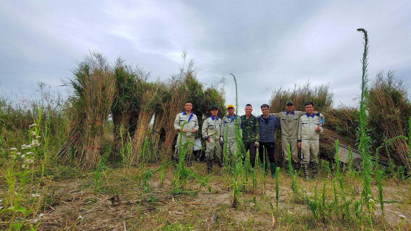 Mana.st khao khát lan tỏa giá trị của cây cỏ sậy và ao ước giúp đỡ nhiều hơn những người nông dân và người cai nghiện.