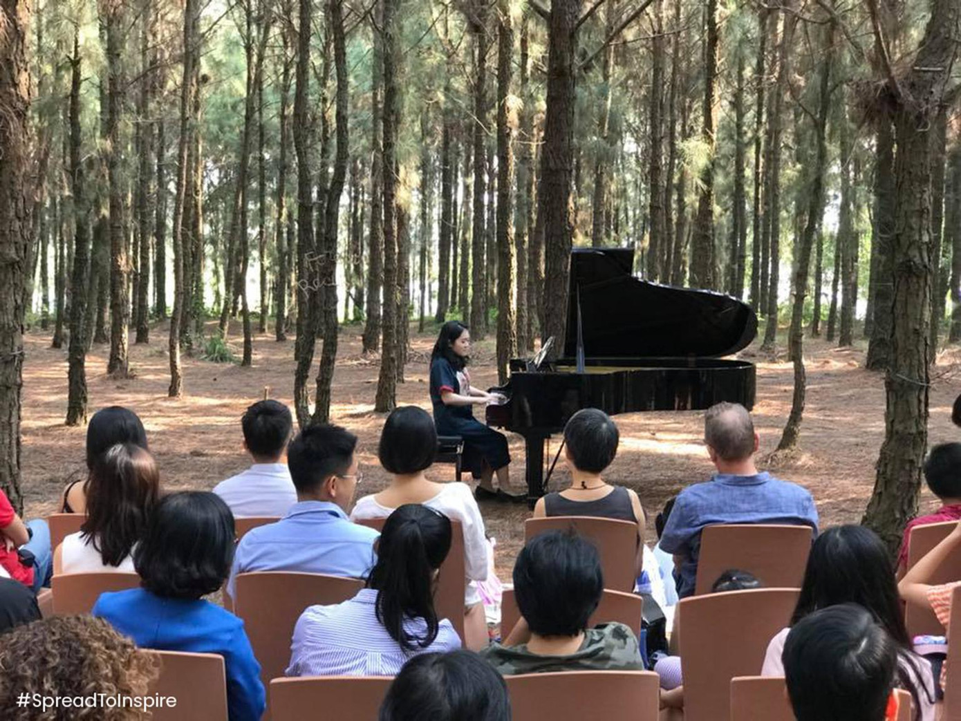 Concert giữa rừng của Nghệ sĩ Trang Trịnh.