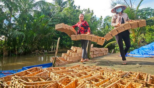 Mô hình đan lục bình giúp giải quyết việc làm, vươn lên thoát nghèo cho người dân Hậu Giang