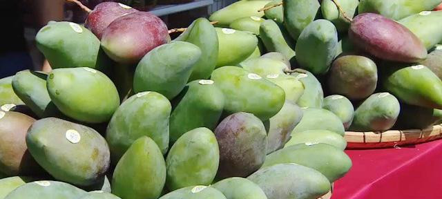 Tháng 6/2021, 25 tấn xoài Sơn La đầu tiên được xuất khẩu sang thị trường Australia