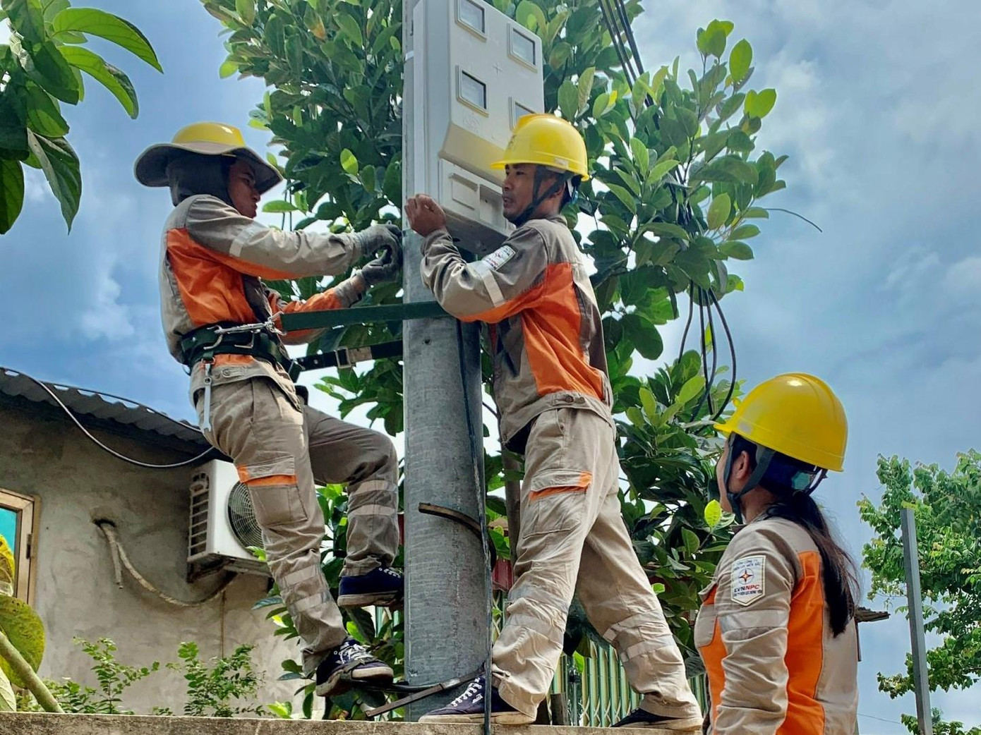 PC Hưng Yên thực hiện chỉnh trang 5S lưới điện tại huyện Tiên Lữ