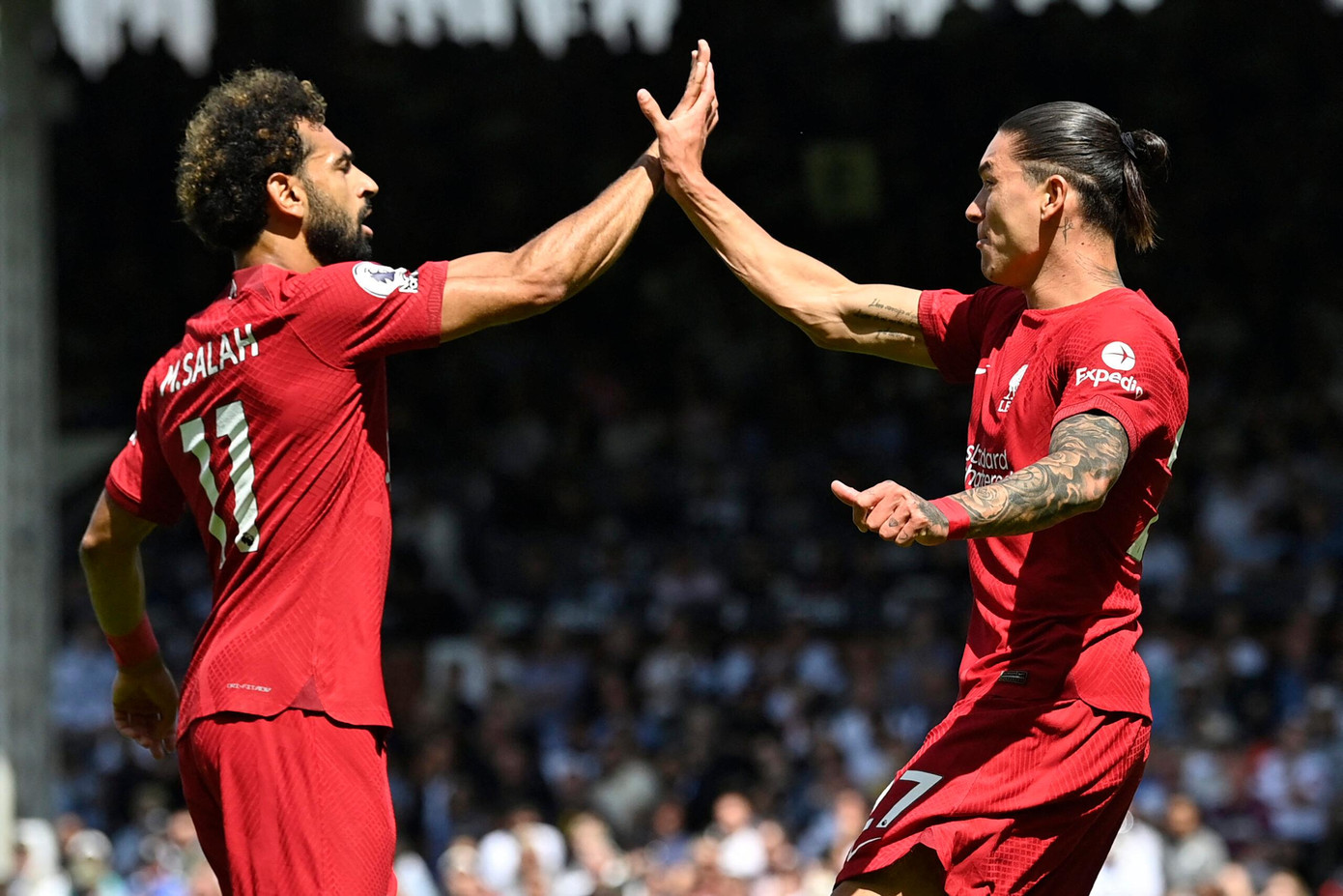 Nunez và Salah sẽ phối hợp với nhau để mang về bàn thắng cho Liverpool? Nunez và Salah sẽ phối hợp với nhau để mang về bàn thắng cho Liverpool?