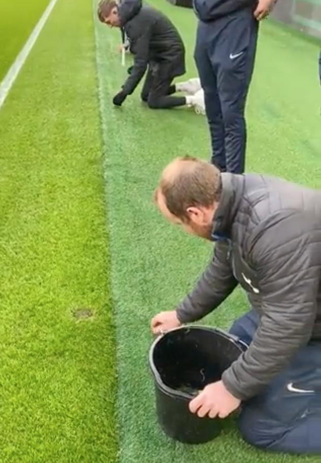 Cảnh các nhân viên phải quỳ xuống nhặt cỏ bằng tay