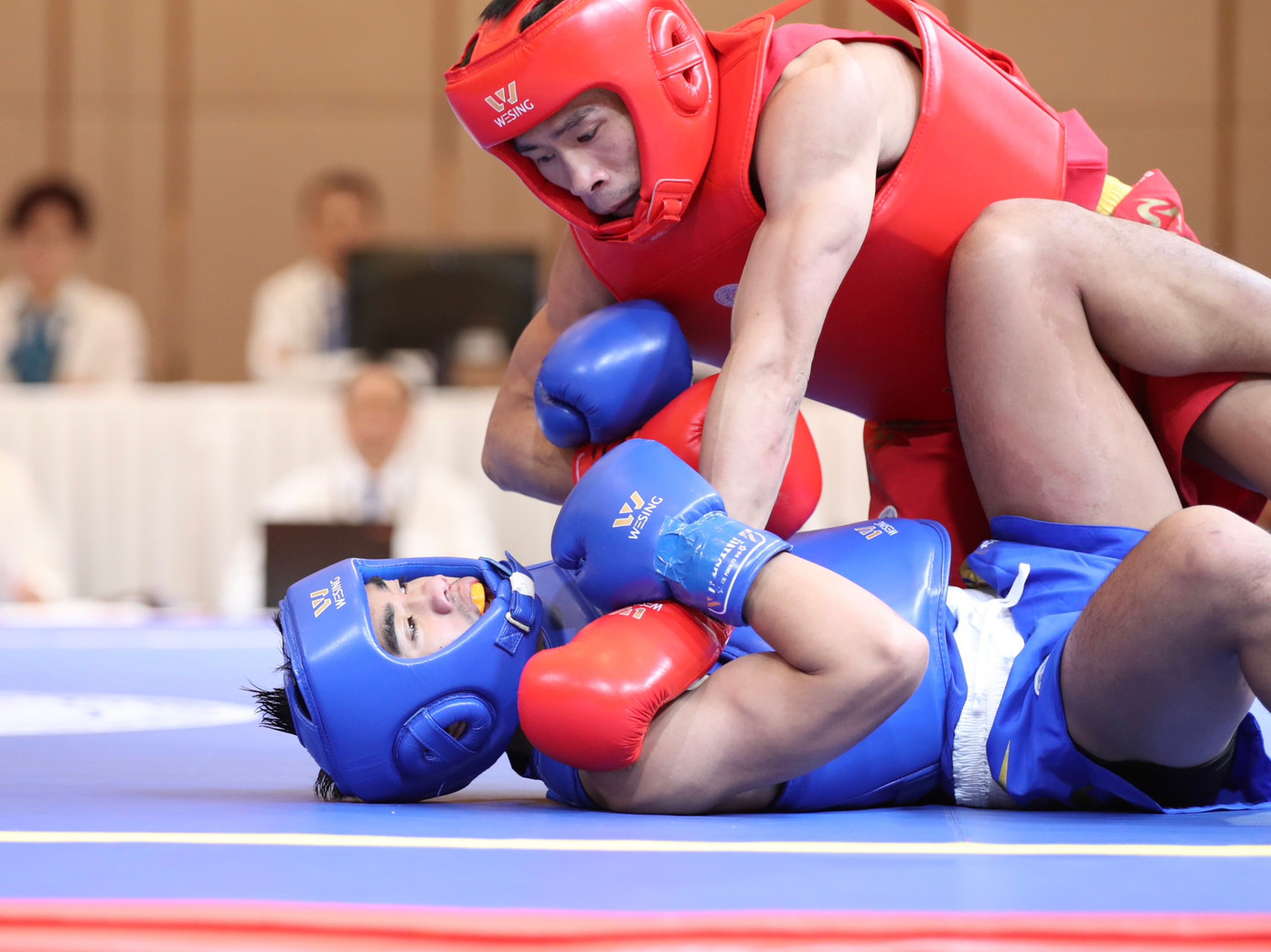 ảnh: Văn Thỏa ảnh: Văn Thỏa