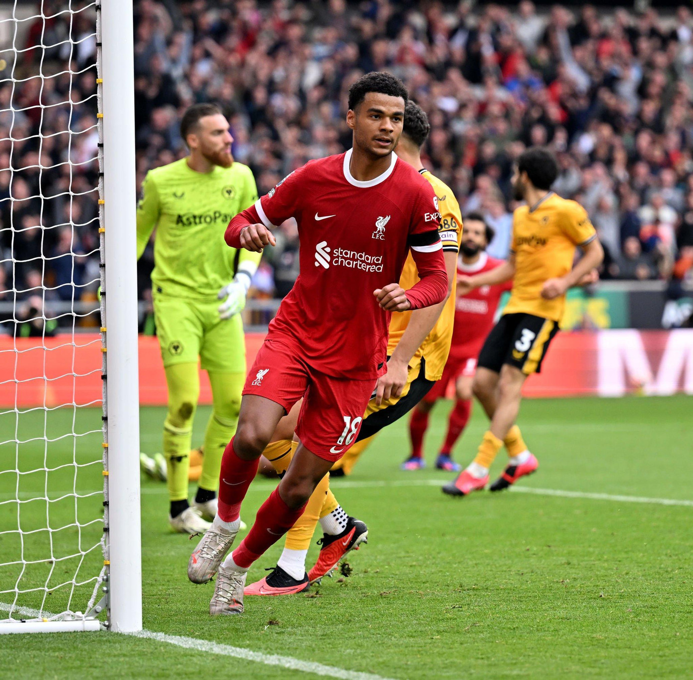 Liverpool ngược dòng đánh bại Wolves, tạm dẫn đầu bảng xếp hạng ảnh 15 Liverpool ngược dòng đánh bại Wolves, tạm dẫn đầu bảng xếp hạng ảnh 15