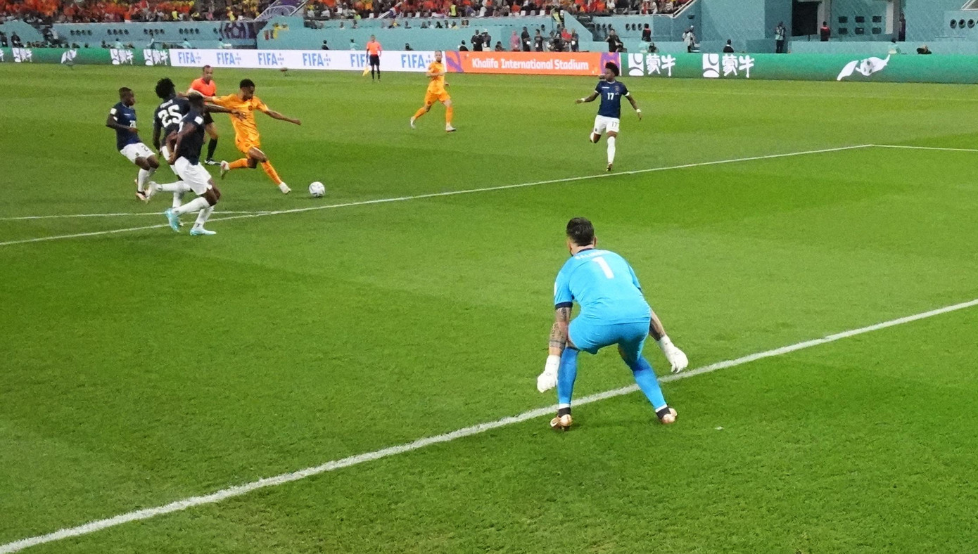 World Cup 2022: Hà Lan hút chết trước Ecuador sau trận hoà 1-1 ảnh 5