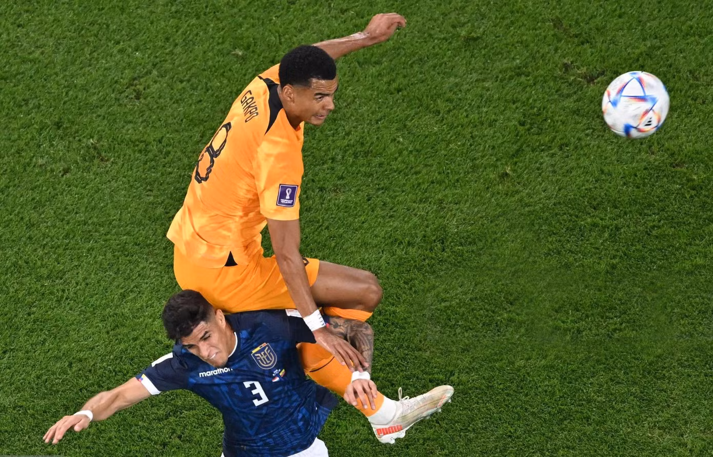 World Cup 2022: Hà Lan hút chết trước Ecuador sau trận hoà 1-1 ảnh 10