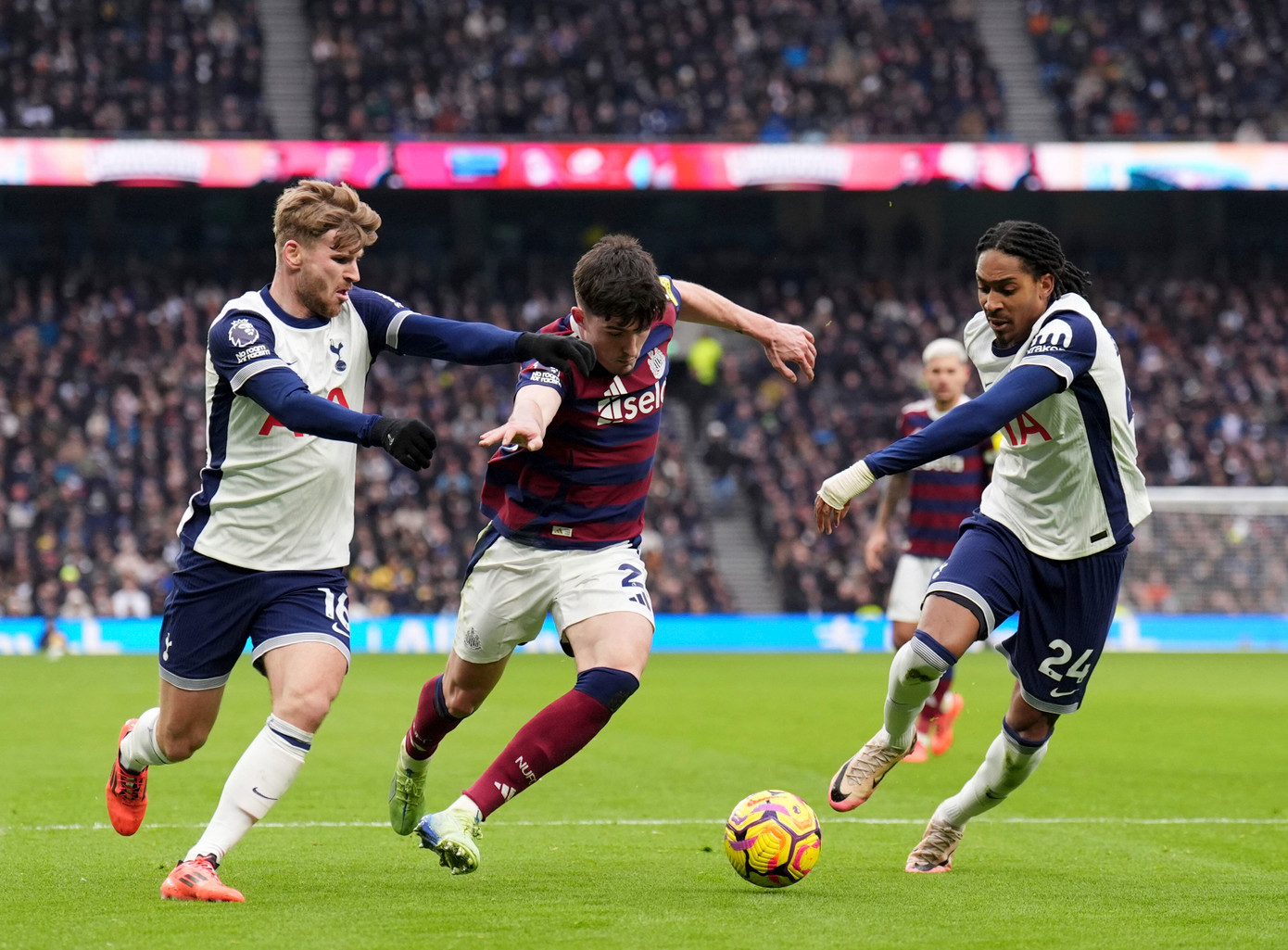 Bại trận trước Newcastle, Tottenham không biết mùi chiến thắng 4 trận liên tiếp ảnh 16 Bại trận trước Newcastle, Tottenham không biết mùi chiến thắng 4 trận liên tiếp ảnh 16