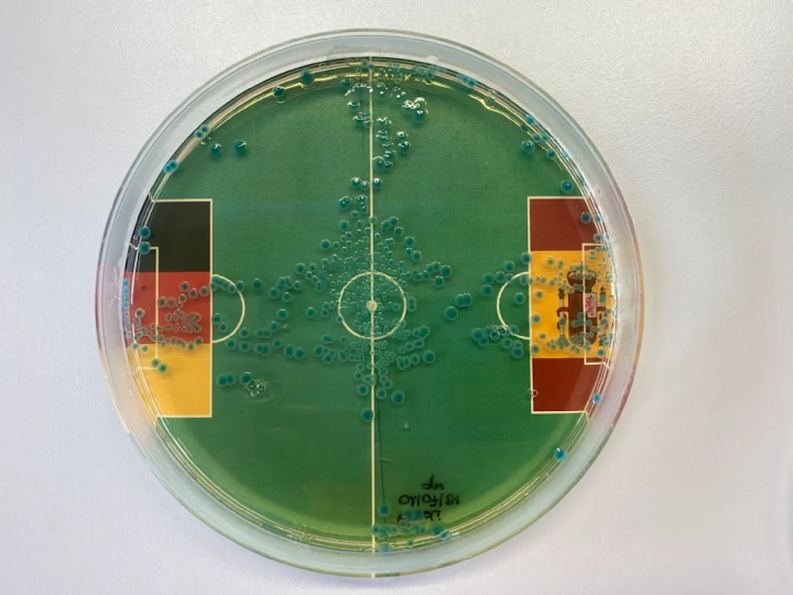 Vi khuẩn được mang ra làm tiên tri EURO 2024