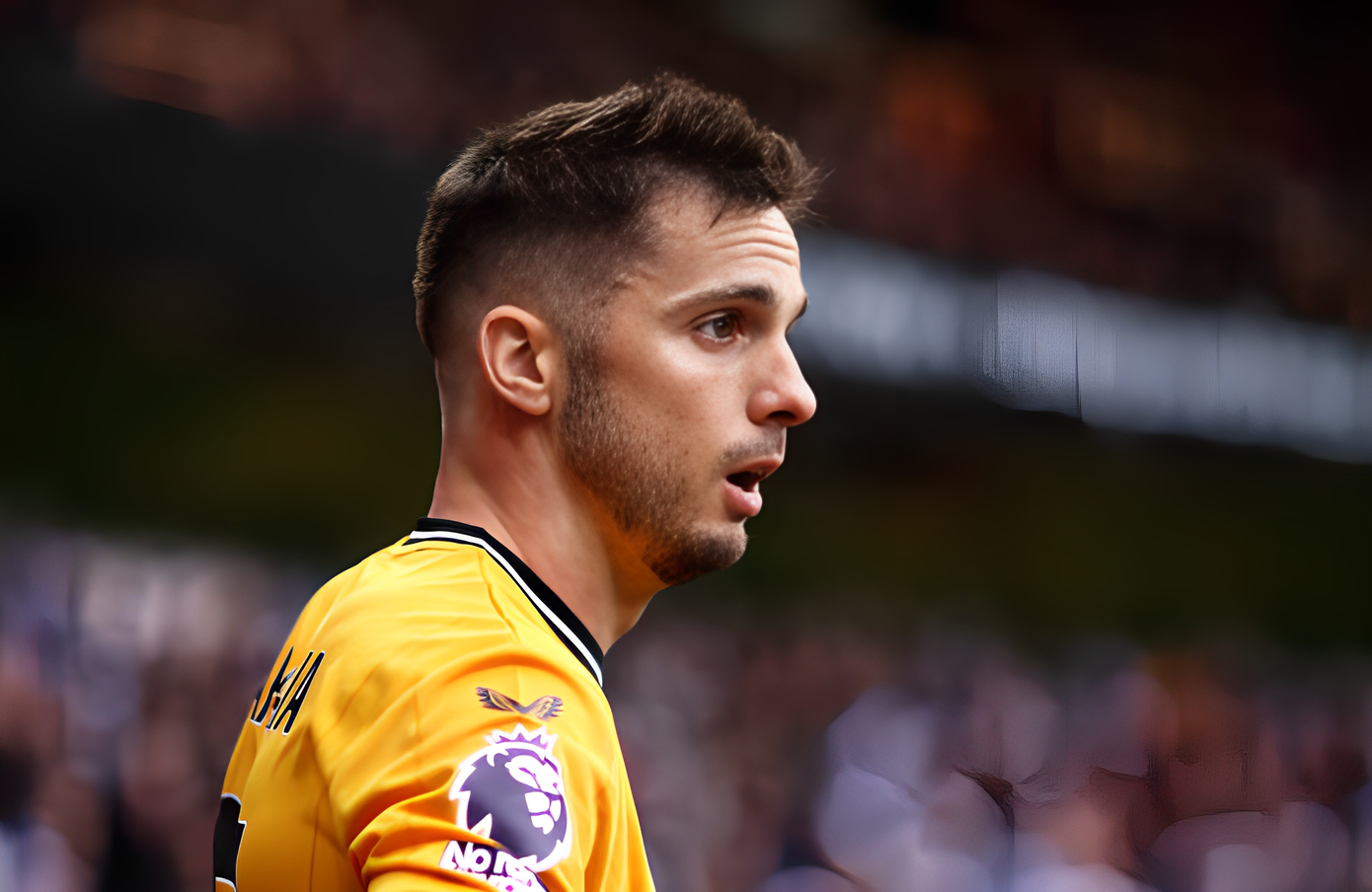 Wolves khiến Chelsea nhận 'chén đắng' đêm Giáng sinh ảnh 8 Wolves khiến Chelsea nhận 'chén đắng' đêm Giáng sinh ảnh 8