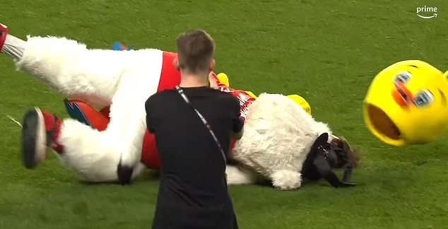 Chú linh vật của Nantes bị quật ngã trên sân