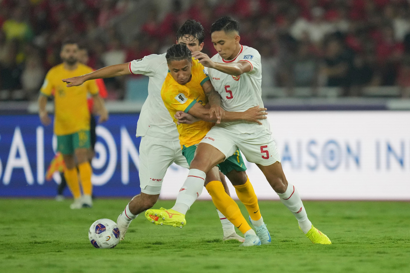 Indonesia buộc Australia phải chia điểm ở vòng loại World Cup 2026 ảnh 14 Indonesia buộc Australia phải chia điểm ở vòng loại World Cup 2026 ảnh 14