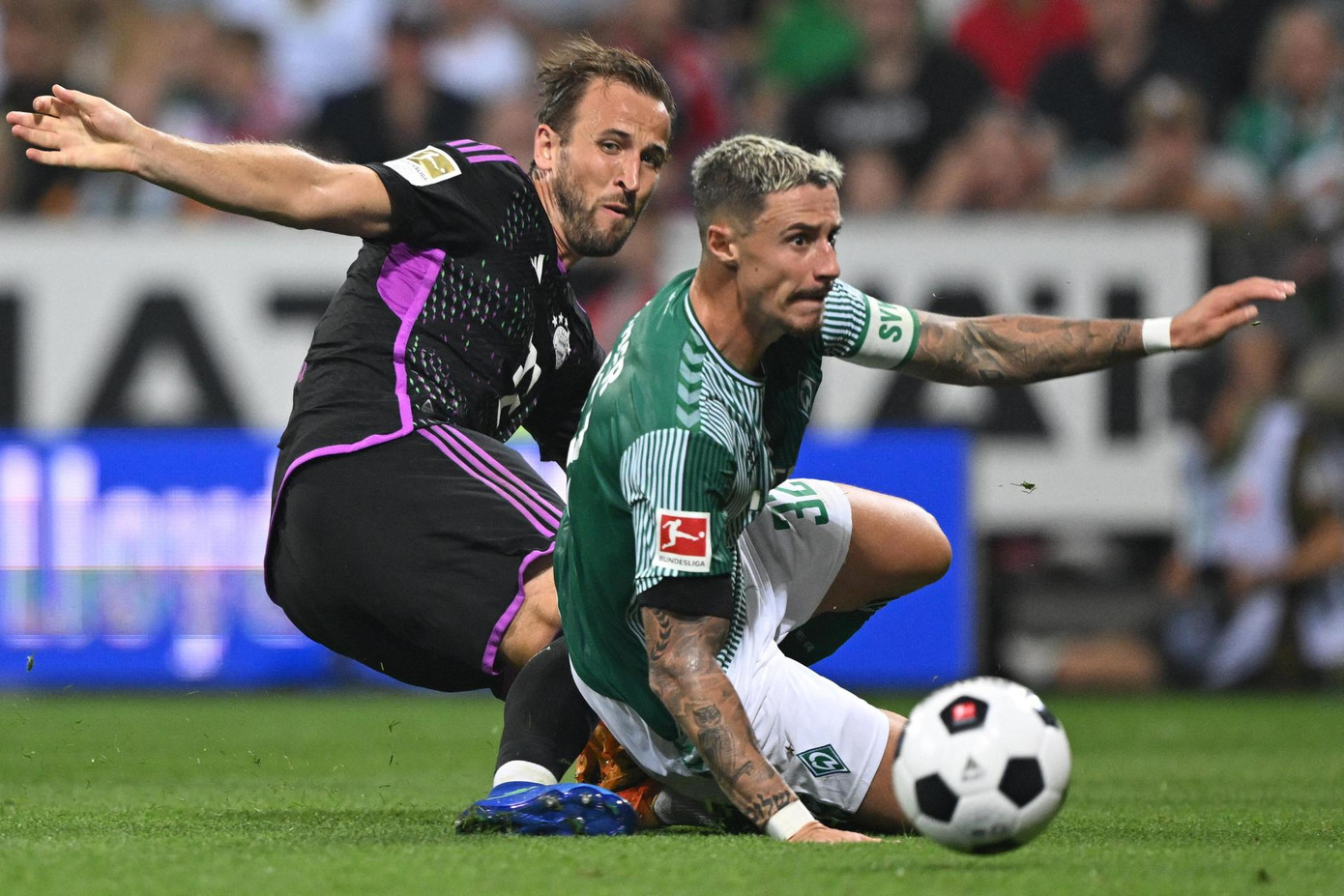 Kane và đồng đội sẽ dễ dàng bỏ túi 3 điểm?