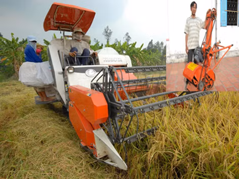Đầu tư nghiên cứu hàng chục năm nay, nhưng máy gặt đập liên hợp ở ĐBSCL hầu hết phải nhập khẩu (ảnh to); “Hai lúa” nông dân Hoàng Văn Liêm bên chiếc máy xúc nông sản tự chế ở huyện Thới Lai - Cần Thơ (ảnh nhỏ). Ảnh: phương chăm