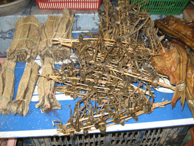 Nhái- món ăn độc đáo của người Lào