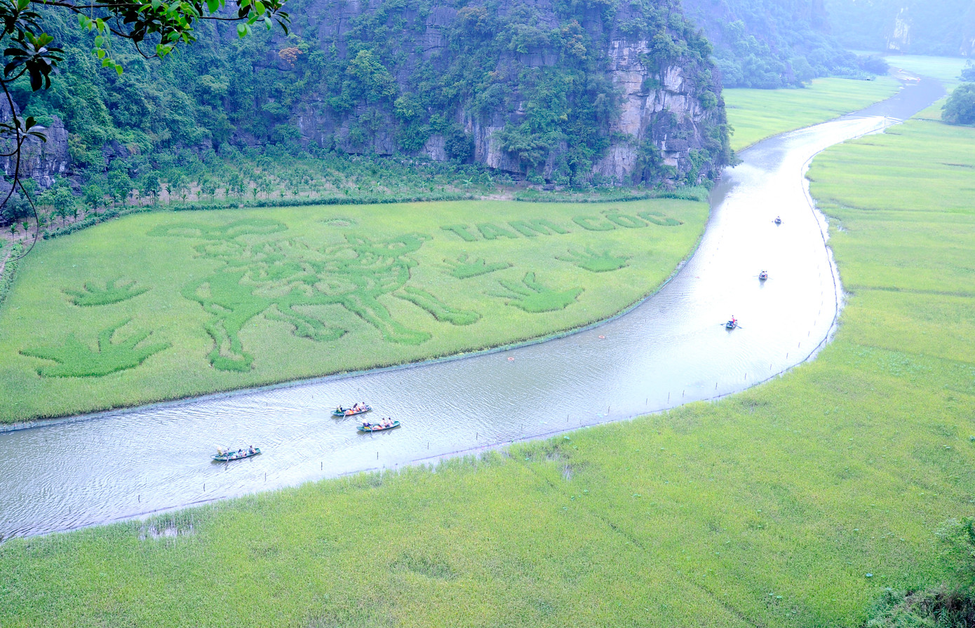 Một góc đồng lúa Tam Cốc nhìn từ trên cao.