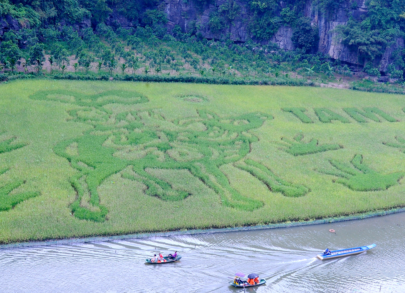 Du khách trầm trồ về bức tranh khổng lồ mang tên Mục Đồng Thổi Sáo. Ảnh: D.L.