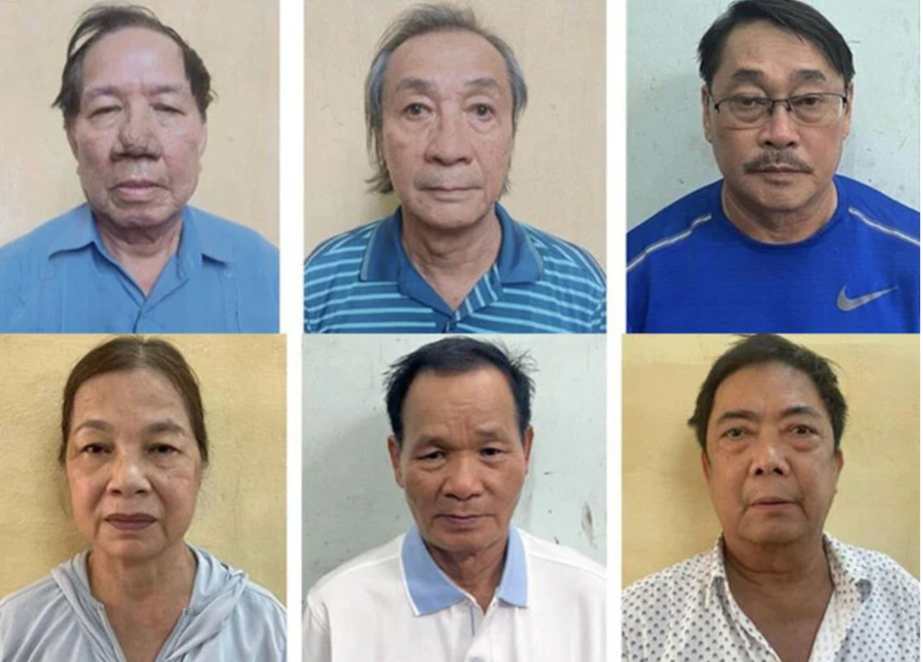 Các bị can bị khởi tố (từ trái qua): Lê Quang Thung, Huỳnh Trung Trực, Phạm Văn Thành, Nguyễn Thị Gái, Nguyễn Công Tài, Nguyễn Trọng Cảnh. (Ảnh: Bộ Công an)