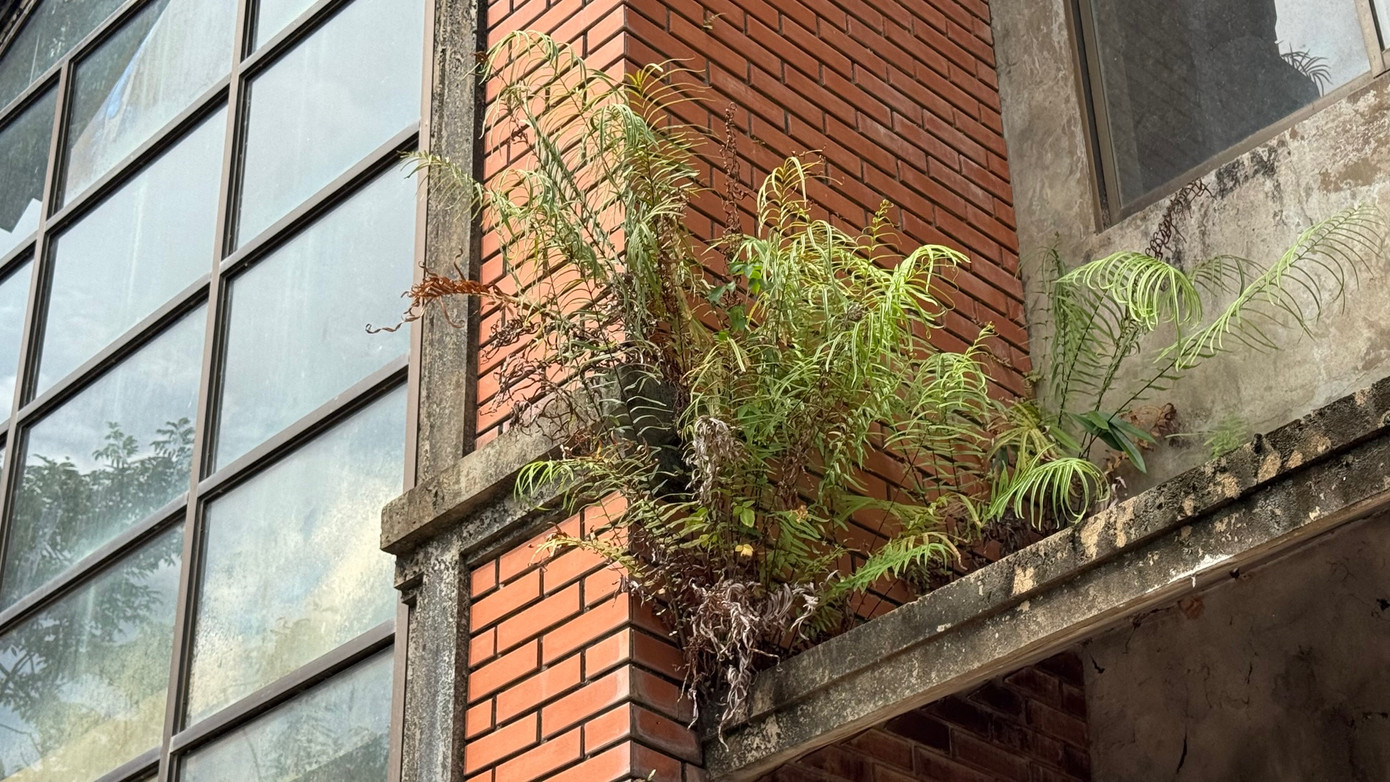 Chúng tôi bắt gặp 2 công nhân đang làm việc ở đây, họ nói đã thuê ngôi nhà này để làm mặt bằng để cất trữ vật liệu và sinh hoạt, ngủ, nghỉ. Chúng tôi bắt gặp 2 công nhân đang làm việc ở đây, họ nói đã thuê ngôi nhà này để làm mặt bằng để cất trữ vật liệu và sinh hoạt, ngủ, nghỉ.