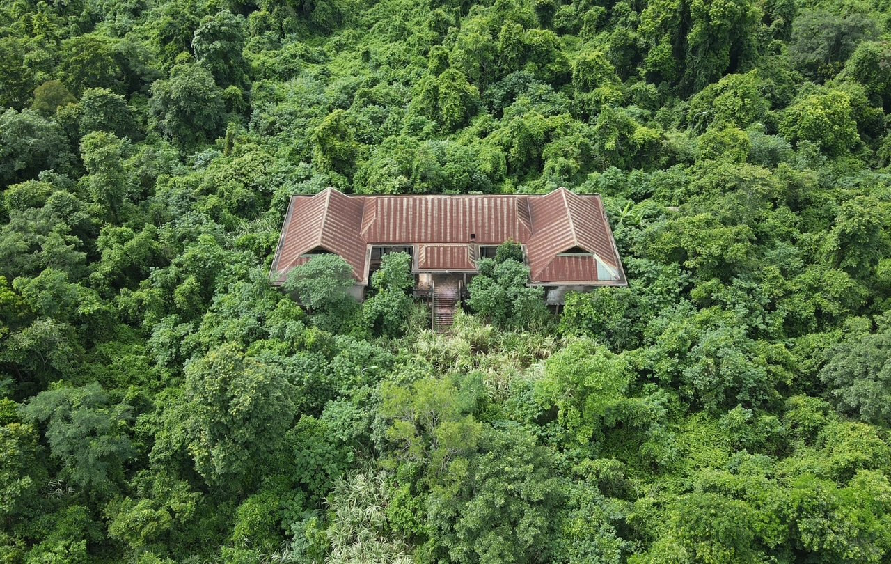 Ngôi nhà khuất lấp giữa rừng cây um tùm. Ngôi nhà khuất lấp giữa rừng cây um tùm.