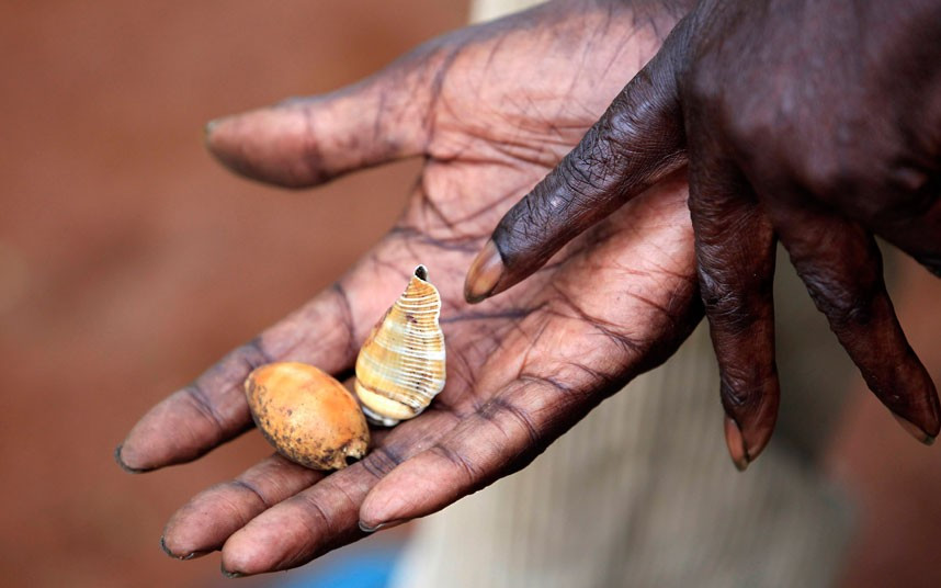 Hai con sò mà vị pháp sư đã sử dụng để dự đoán kết quả cuộc bầu cử tổng thống Mỹ 